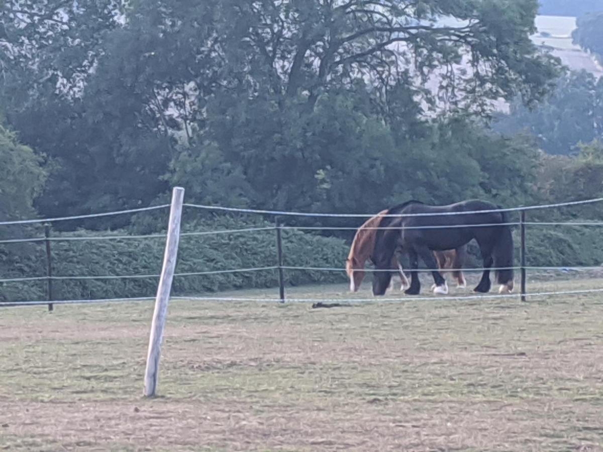 Foxhill Lodges Canterbury Zewnętrze zdjęcie