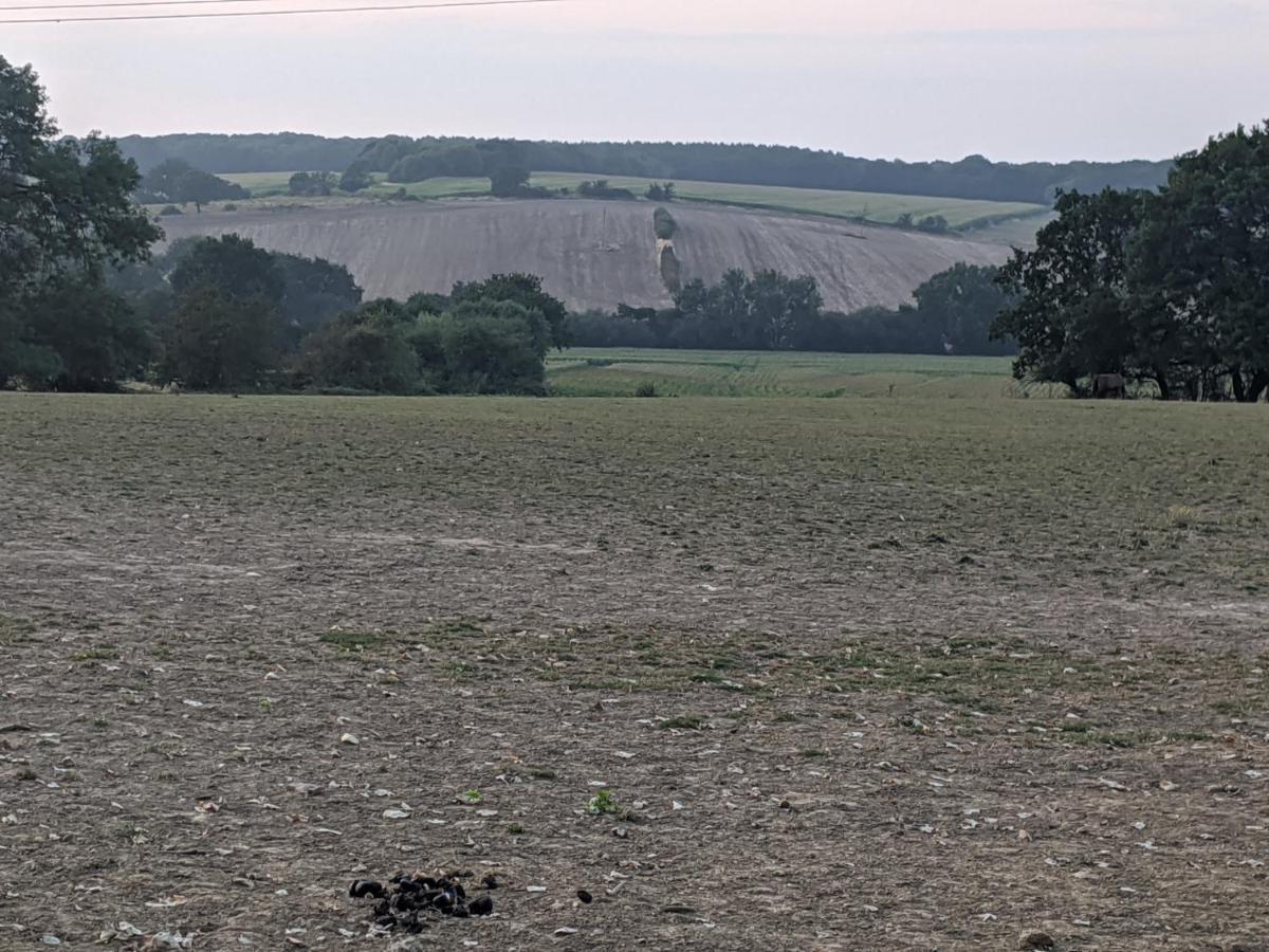 Foxhill Lodges Canterbury Zewnętrze zdjęcie
