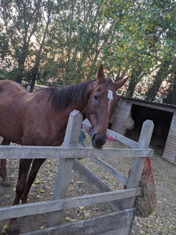 Foxhill Lodges Canterbury Zewnętrze zdjęcie