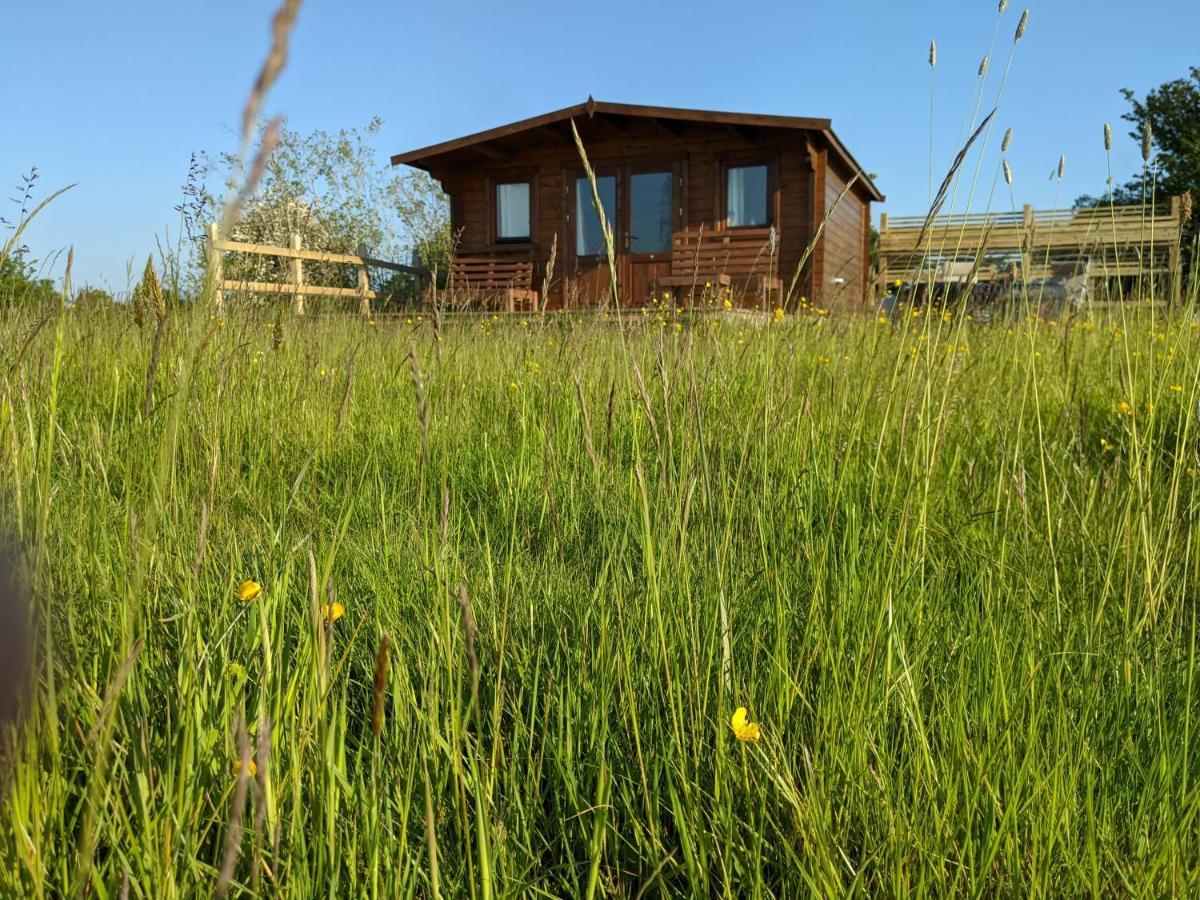 Foxhill Lodges Canterbury Zewnętrze zdjęcie