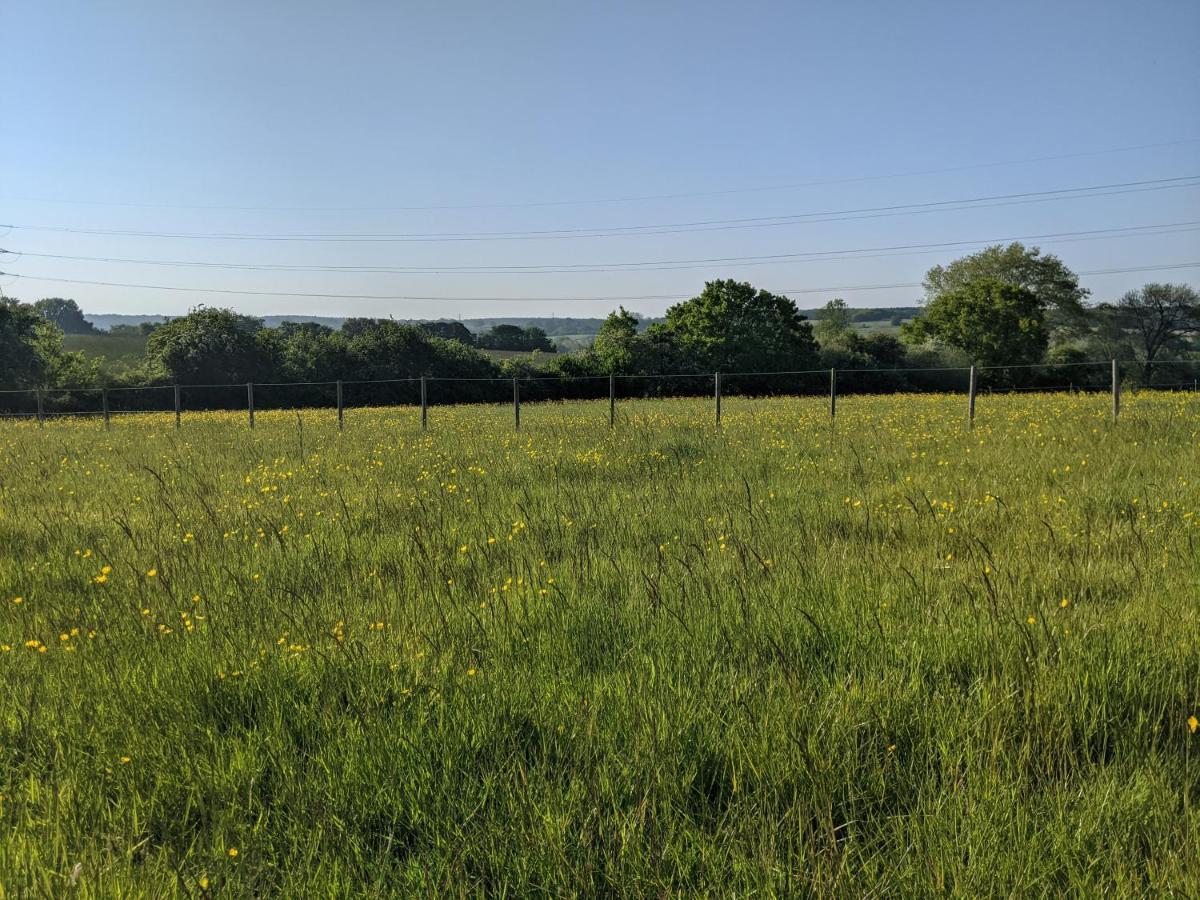 Foxhill Lodges Canterbury Zewnętrze zdjęcie